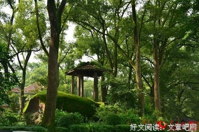 一想我羽裳起舞句子