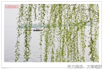 最经典的咪蒙的名句