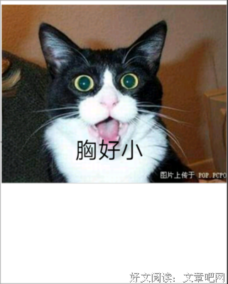 最经典的《们格对我说谎》经典语录