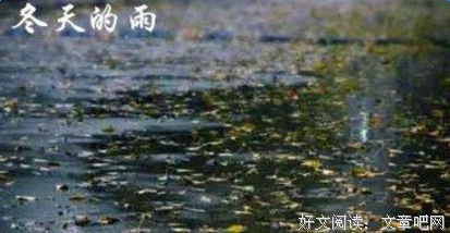 《刺骨》经典句子大全