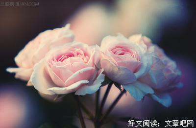 《今生是第一次》经典语句大全