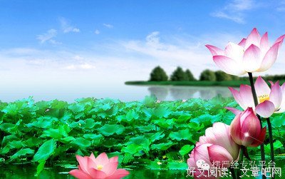 《圣空甘露公众微信》佳句摘抄大全