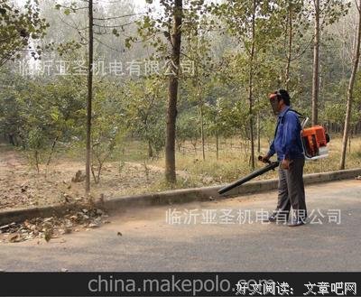 《不是尘埃》小说书摘大全