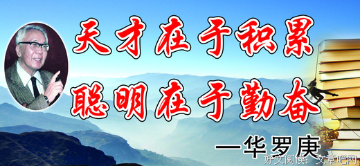 《郑爽的书》好段摘抄