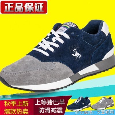 最新的《有子可国杀》好段摘抄