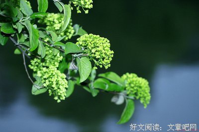 暮雨入画好词好句