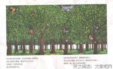 有关你是我中孩子而生的对远士的句子