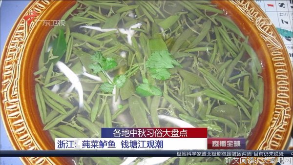 秋夕如昨经典的句子