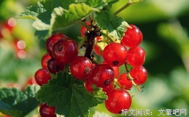知心经典的句子