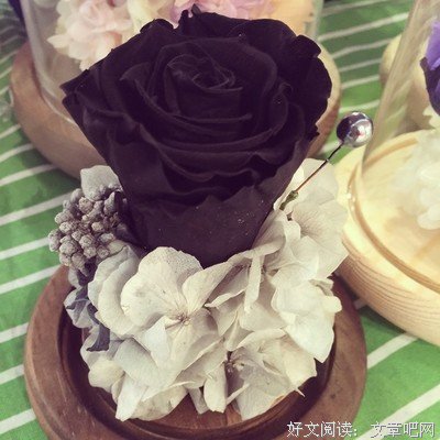 关于玄默的名言