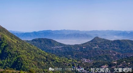 关于琦君的名言