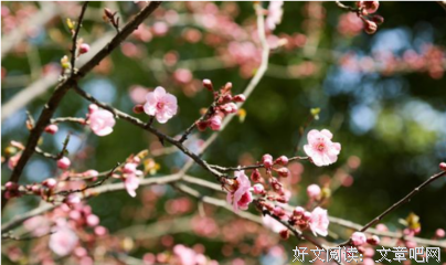 杜牧名言大全