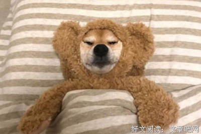 最新的《你好像一点也不想我》经典的句子