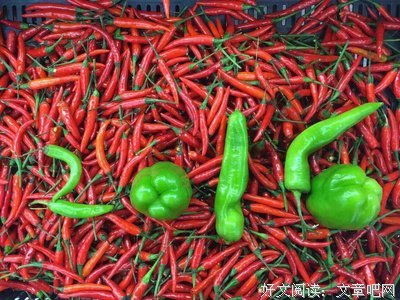 最新的《曾以千言挽年华》好段摘抄
