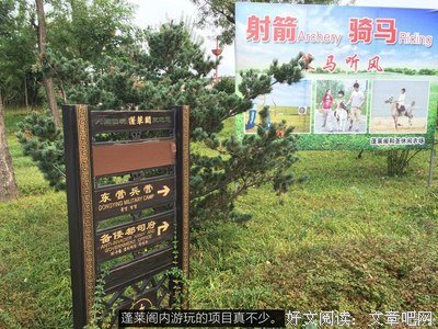 最经典的《我是大玩家》好段摘抄