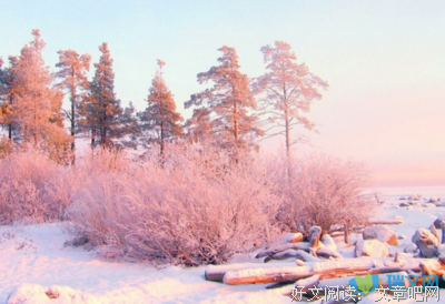 最经典的《雪》经典句子