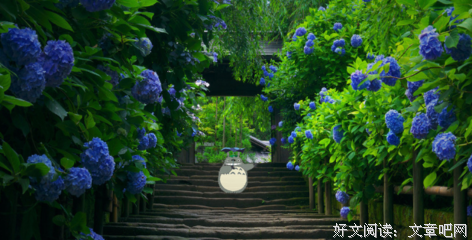 《也许》经典的句子
