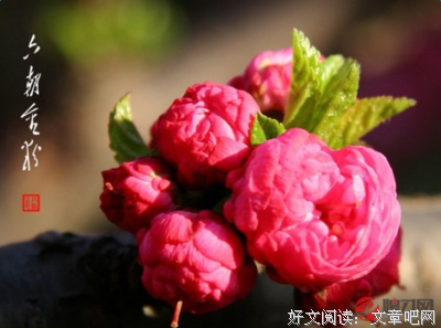 《养性》名句欣赏