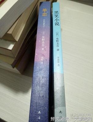 最全的《单恋》小说摘抄