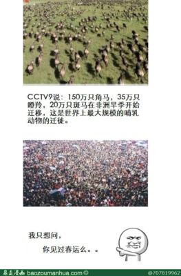关于弱弱的名言