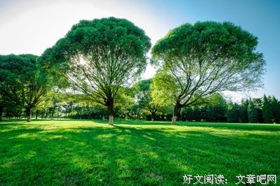 烈日当空的语句摘抄_关于烈日当空的语句