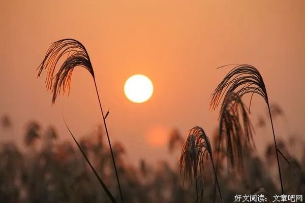 终于，我累了，也懂了 