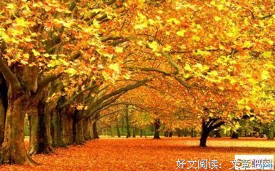 ttt优美的句子