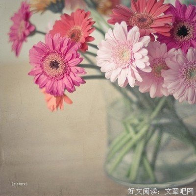 关于人生若只如初见的优美句子