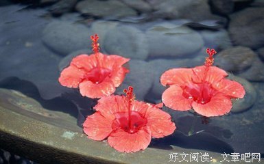 有关奈界于奈界于的句子