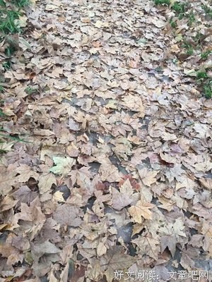 关于风雨潇潇的句子