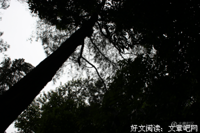 庭院深深深几许句子