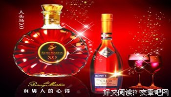 有关雷米的名言