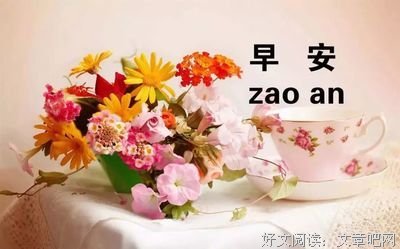 最经典的苏芩的名言