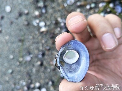 英语不能丢了，活到老学到老