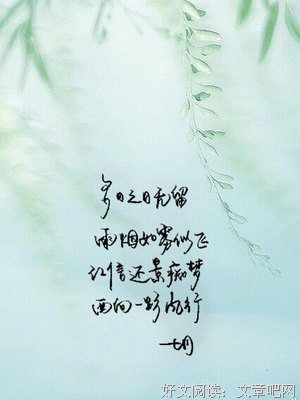 《手机》小说句子