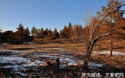 最全的《春雪》佳句摘抄