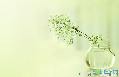 《曙光》经典句子大全