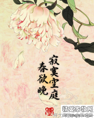 最全的《有匪》经典语句