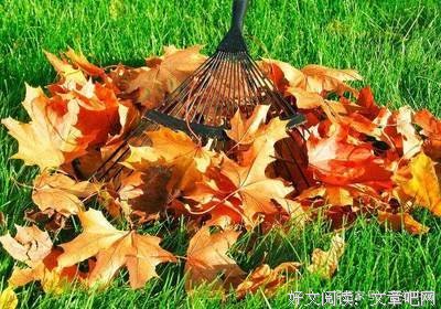最全的《未知》经典句子