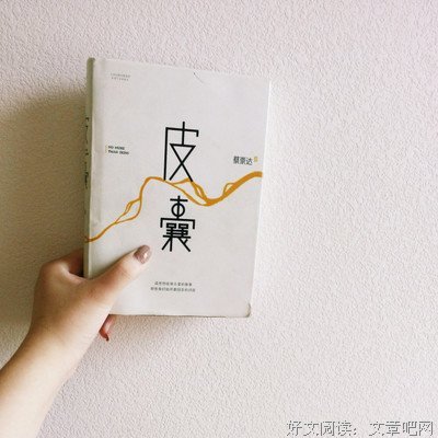 最经典的《皮囊》小说书摘