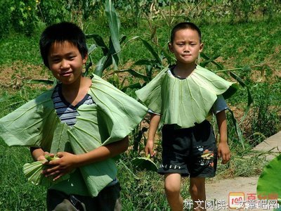最新的《童年》经典名句