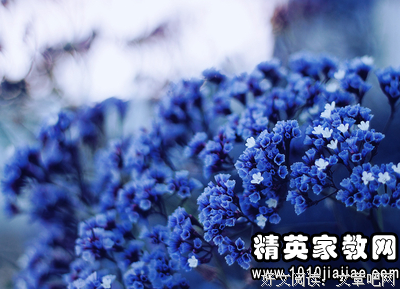 率真的句子