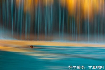 关于这一刻的心颤所悟的句子