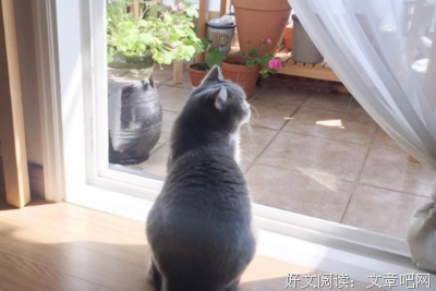 好久不见句子