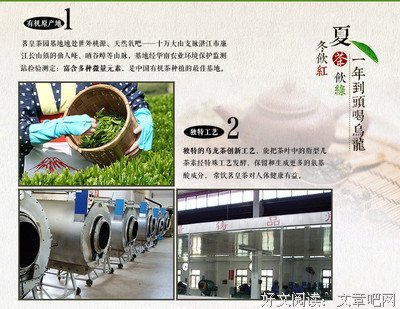 茗皇录经典的句子