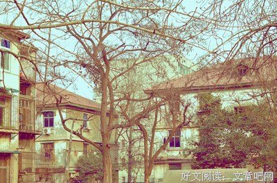几段唏嘘几还成悲欢 可要子大我命由说年这不由我的句子