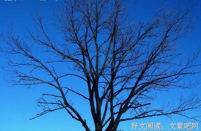 最经典的黎戈的名言