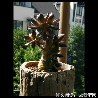 最新的万维钢座右铭