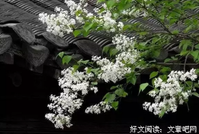 南怀瑾的格言