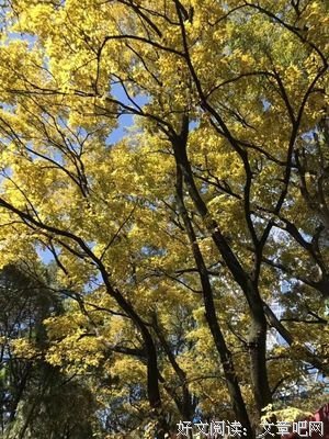 卡耐基的名言